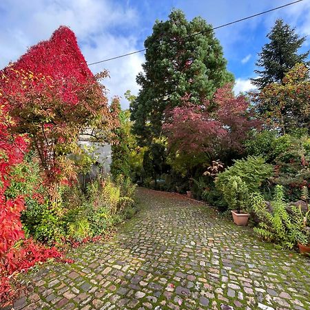 "El Patio" Am Donnersberg Lejlighed Dannenfels Eksteriør billede