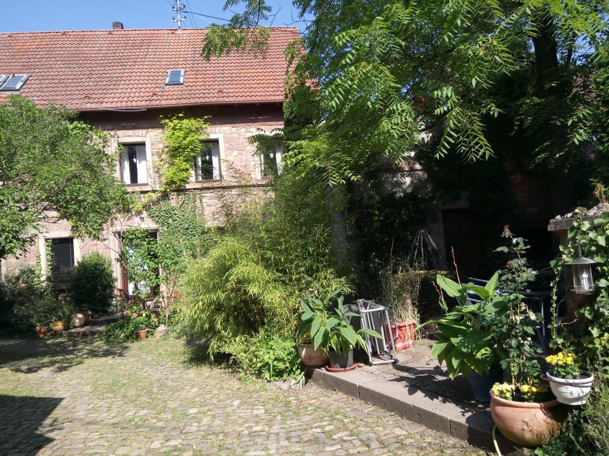 "El Patio" Am Donnersberg Lejlighed Dannenfels Eksteriør billede