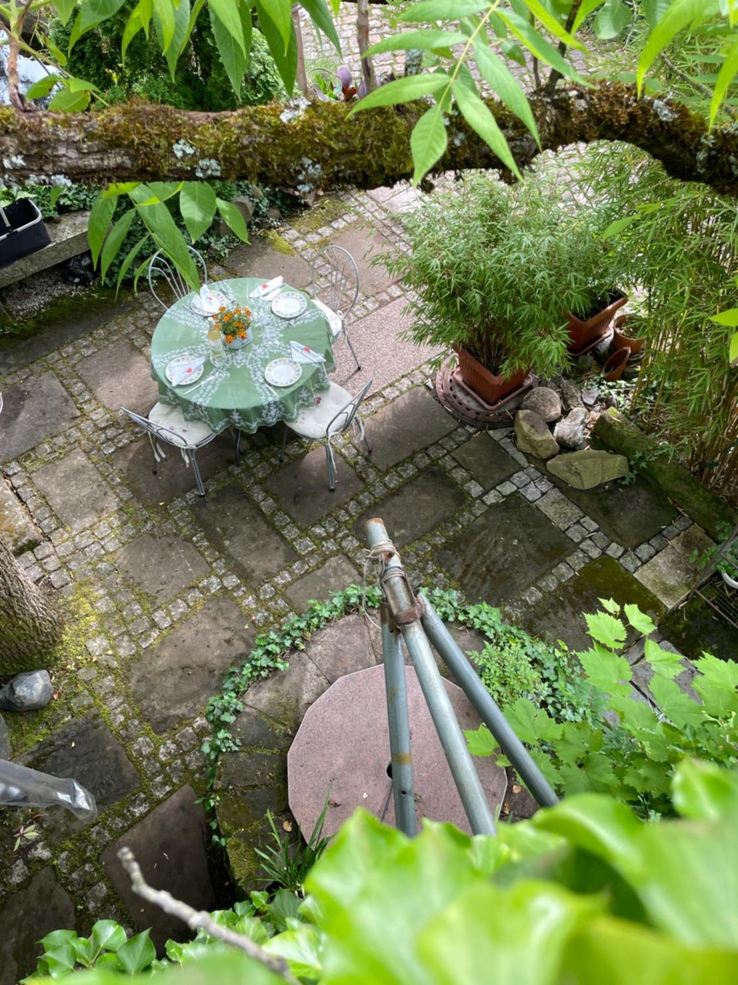 "El Patio" Am Donnersberg Lejlighed Dannenfels Eksteriør billede