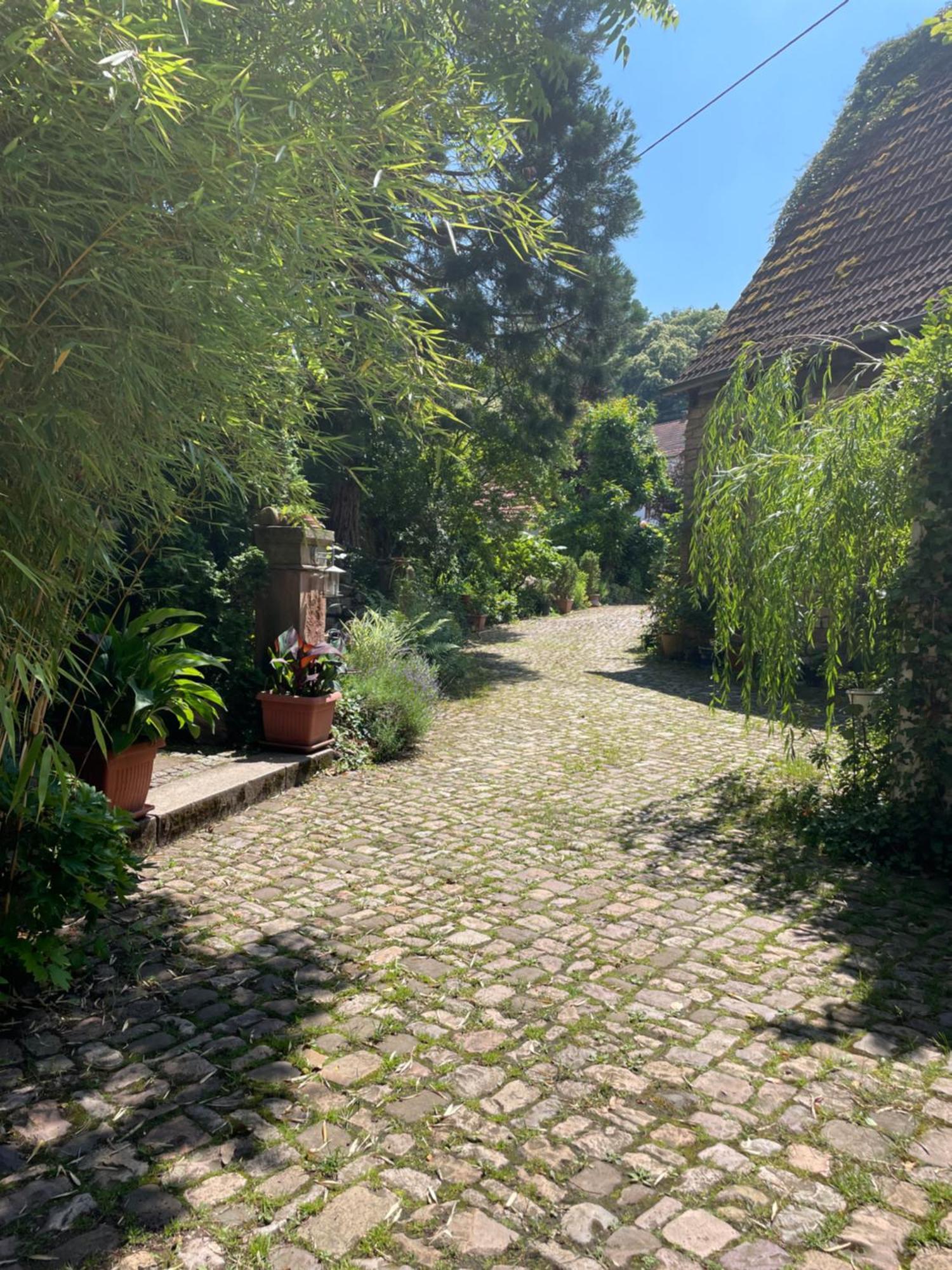 "El Patio" Am Donnersberg Lejlighed Dannenfels Eksteriør billede