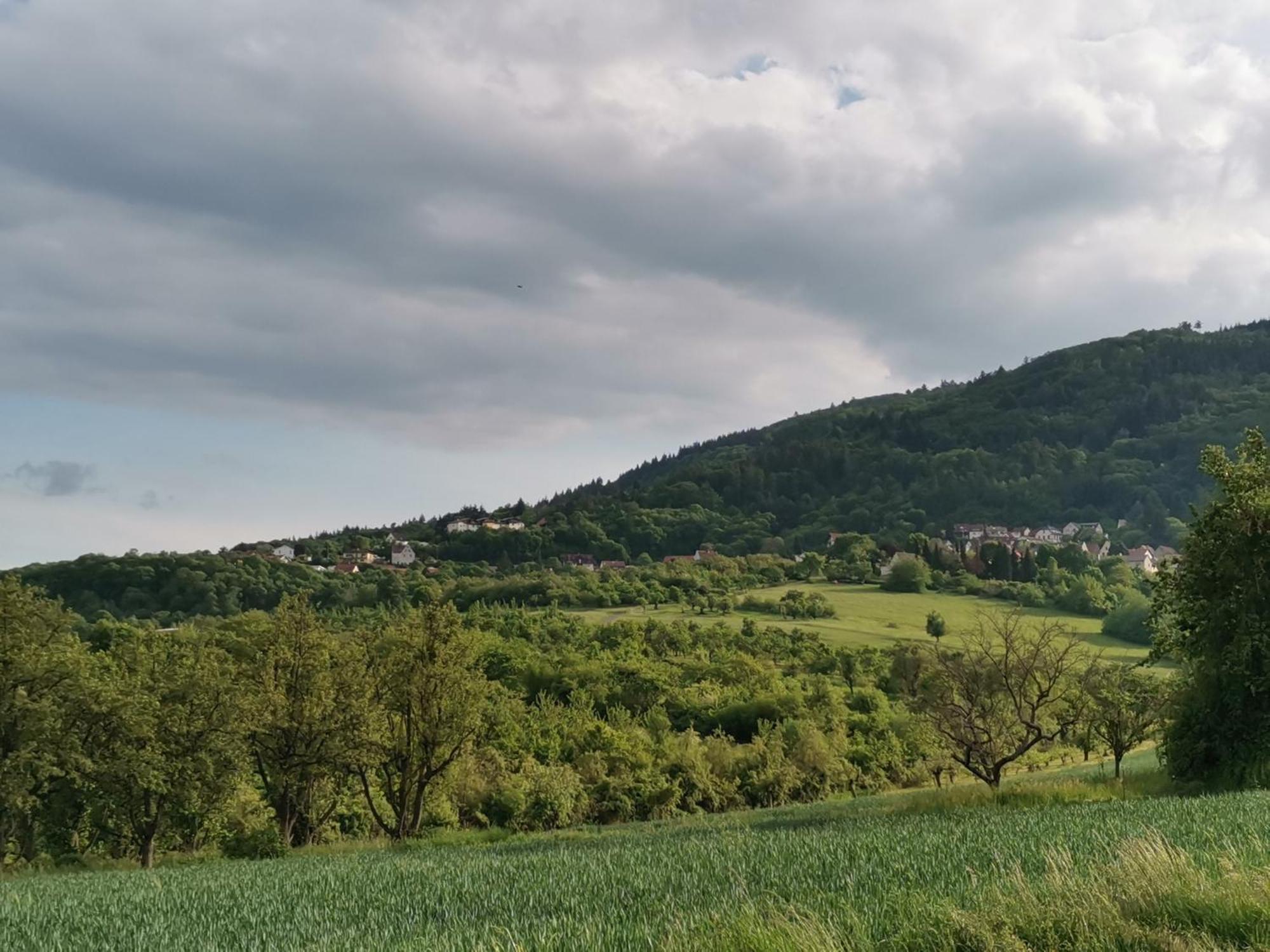 "El Patio" Am Donnersberg Lejlighed Dannenfels Eksteriør billede